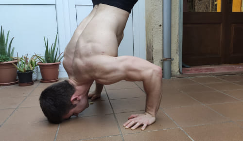 Calisthenics best sale push ups